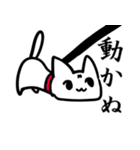 犬に憧れる猫（個別スタンプ：20）