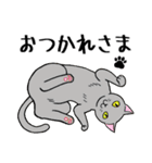 ねこちゃんいっぱい3 新元号記念（個別スタンプ：21）