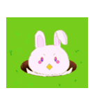 たれ耳だるまのぴよりん（個別スタンプ：6）