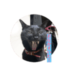 黒猫のもみじ（個別スタンプ：2）