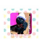 黒猫のもみじ（個別スタンプ：3）