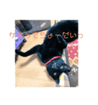 黒猫のもみじ（個別スタンプ：4）