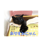 黒猫のもみじ（個別スタンプ：5）