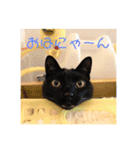 黒猫のもみじ（個別スタンプ：6）