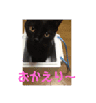 黒猫のもみじ（個別スタンプ：7）