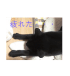 黒猫のもみじ（個別スタンプ：8）