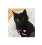 黒猫のもみじ（個別スタンプ：9）