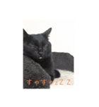 黒猫のもみじ（個別スタンプ：10）