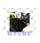 黒猫のもみじ（個別スタンプ：14）