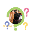 黒猫のもみじ（個別スタンプ：16）