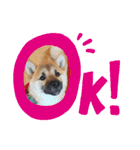 ふくちゃんスタンプ♥️～日常編～（個別スタンプ：10）