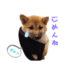 ふくちゃんスタンプ♥️～日常編～（個別スタンプ：13）