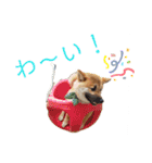 ふくちゃんスタンプ♥️～日常編～（個別スタンプ：19）
