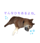 ふくちゃんスタンプ♥️～日常編～（個別スタンプ：31）