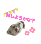 ロップイヤーのふわふわふわり（個別スタンプ：5）
