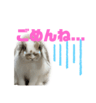 ロップイヤーのふわふわふわり（個別スタンプ：8）