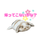 ロップイヤーのふわふわふわり（個別スタンプ：9）