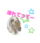 ロップイヤーのふわふわふわり（個別スタンプ：11）
