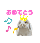 ロップイヤーのふわふわふわり（個別スタンプ：12）