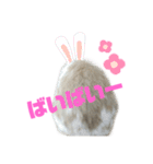 ロップイヤーのふわふわふわり（個別スタンプ：14）