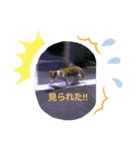 動物スタ（個別スタンプ：4）