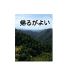 動物スタ（個別スタンプ：8）