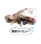 mon*habi猫スタンプ 2（個別スタンプ：21）