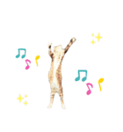 ねこのだいきち（個別スタンプ：1）