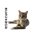 ねこのだいきち（個別スタンプ：2）