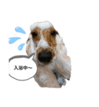 こんにちは、ひまりです。（個別スタンプ：2）