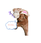 こんにちは、ひまりです。（個別スタンプ：5）