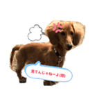 こんにちは、ひまりです。（個別スタンプ：7）