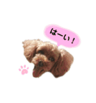 めいりんぽこのスタンプ（個別スタンプ：21）