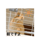 パトちゃんスタンプ（個別スタンプ：1）
