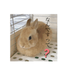 パトちゃんスタンプ（個別スタンプ：8）