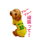 ダップー 日常会話スタンプ（個別スタンプ：26）