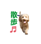 ダップー 日常会話スタンプ（個別スタンプ：33）