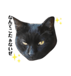黒猫ジュンジ（個別スタンプ：12）