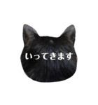 黒猫ジュンジ（個別スタンプ：14）