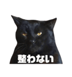 黒猫ジュンジ（個別スタンプ：16）
