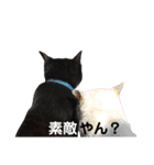 黒猫ジュンジ（個別スタンプ：32）