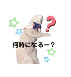茶トラ猫のななちゃん（個別スタンプ：6）