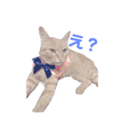 茶トラ猫のななちゃん（個別スタンプ：26）