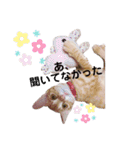 茶トラ猫のななちゃん（個別スタンプ：29）