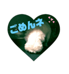 peki_Love（個別スタンプ：1）
