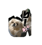 peki_Love（個別スタンプ：2）