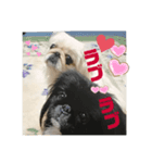 peki_Love（個別スタンプ：3）