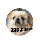 peki_Love（個別スタンプ：4）