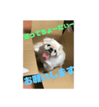 peki_Love（個別スタンプ：5）