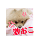 レオくんスタンプ①（個別スタンプ：8）